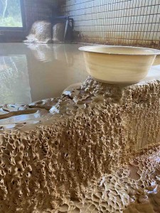 花山温泉湯の花