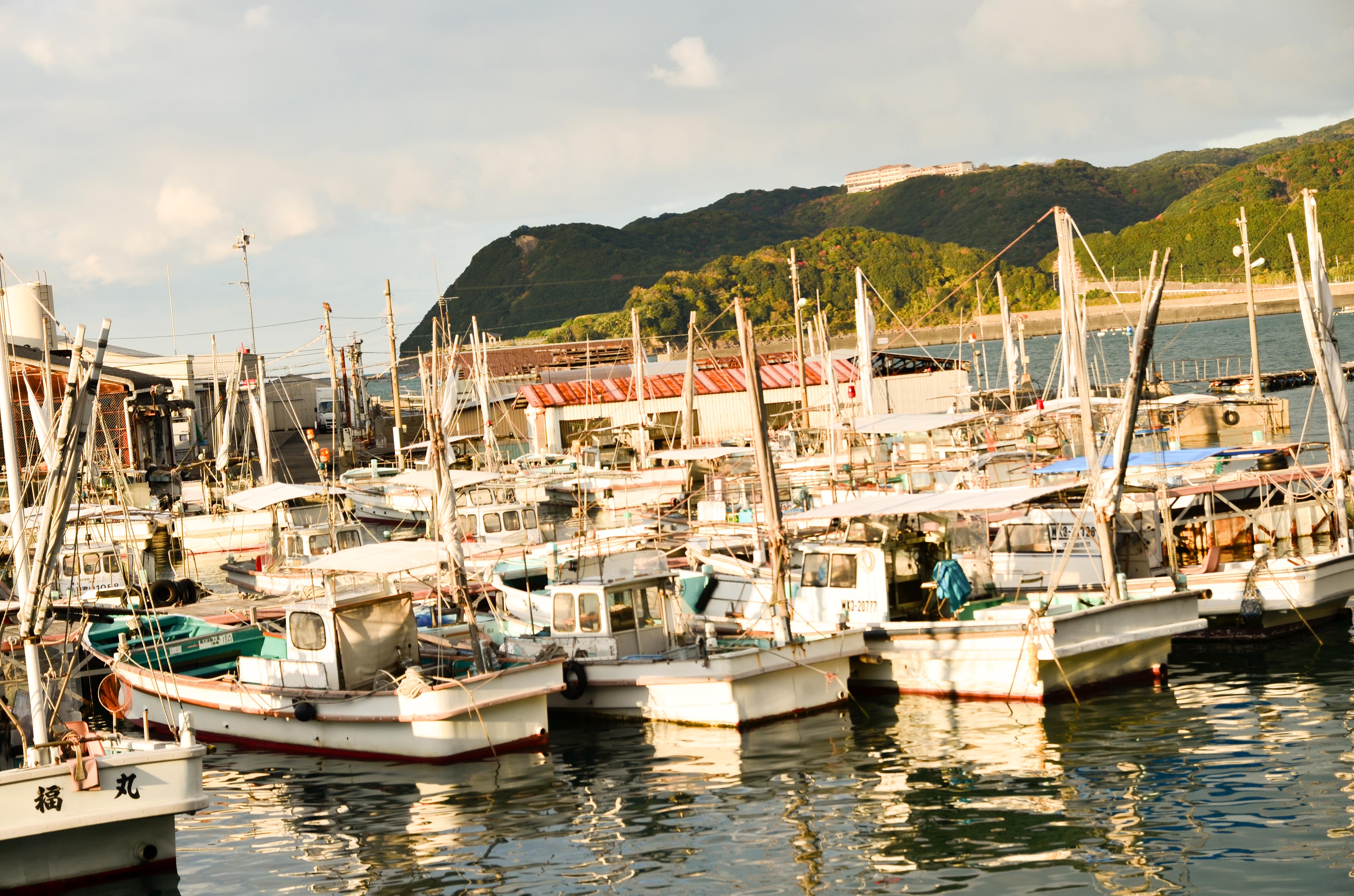 加太漁船風景