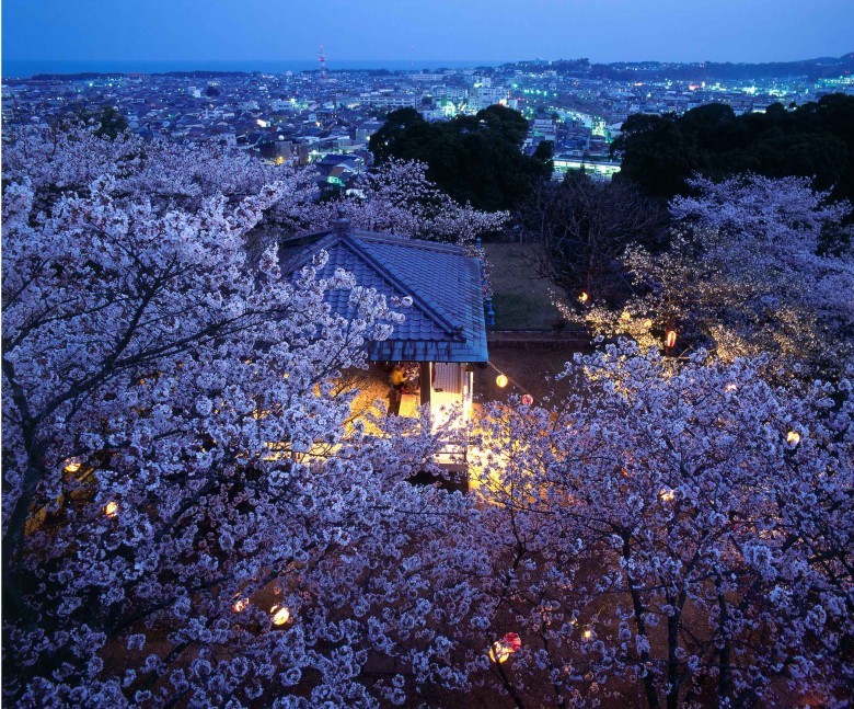 残念ながら2022年は夜桜のライトアップは中止が決定していますが、またこの美しい風景が見られることを楽しみにしています。