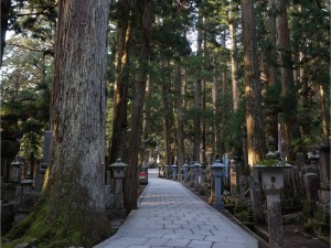 高野山