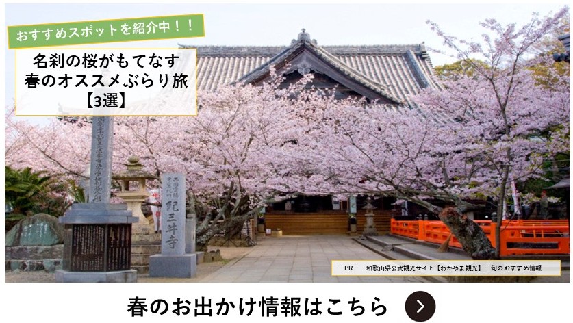 紀三井寺桜