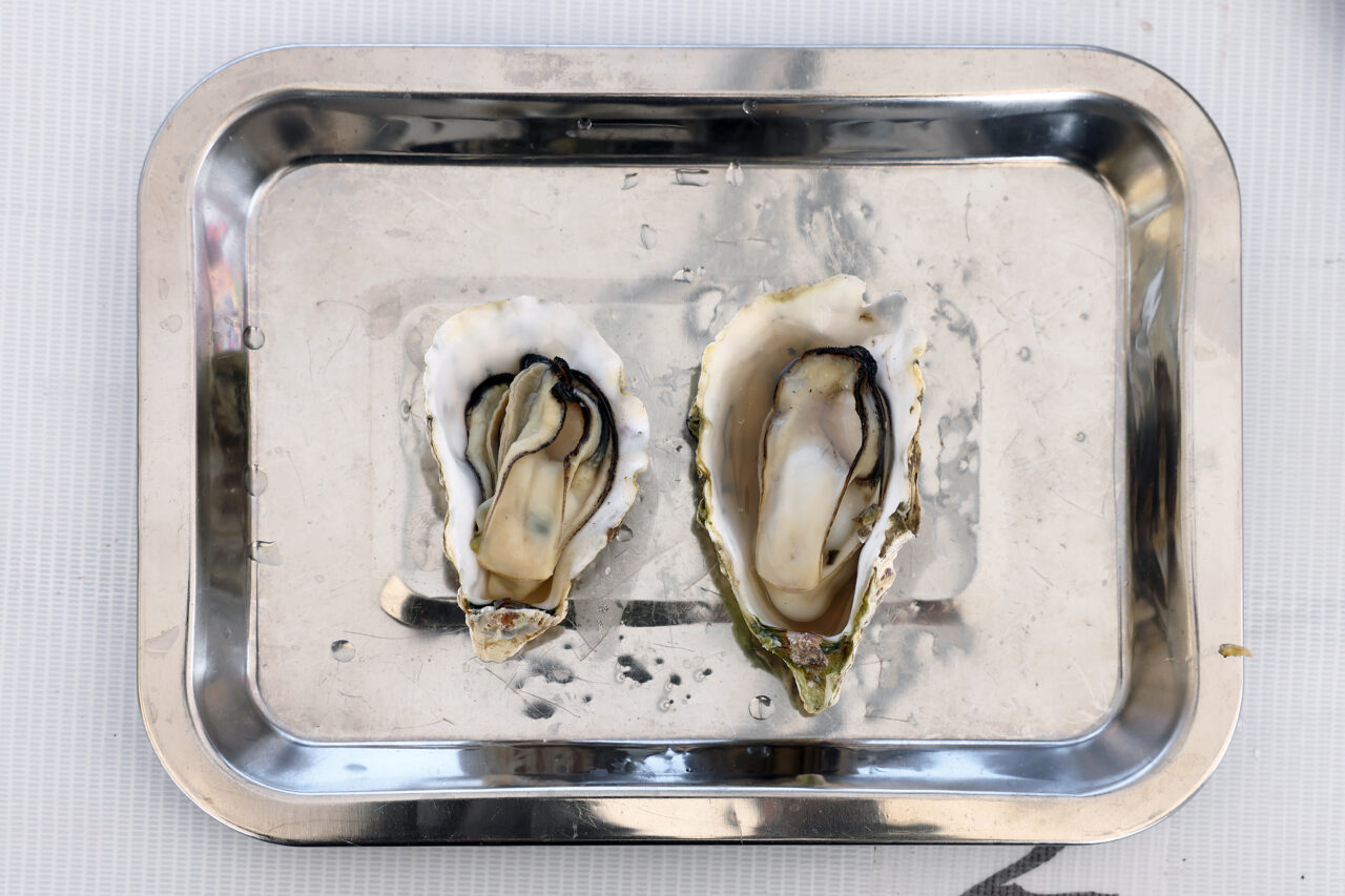 立征水産牡蠣小屋かき八