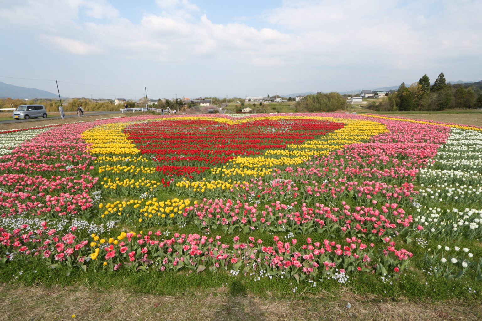 「ロカルわかやま」とは - ロカルわかやま｜和歌山県内のグルメ、観光・おでかけ、ライフ情報を発信中