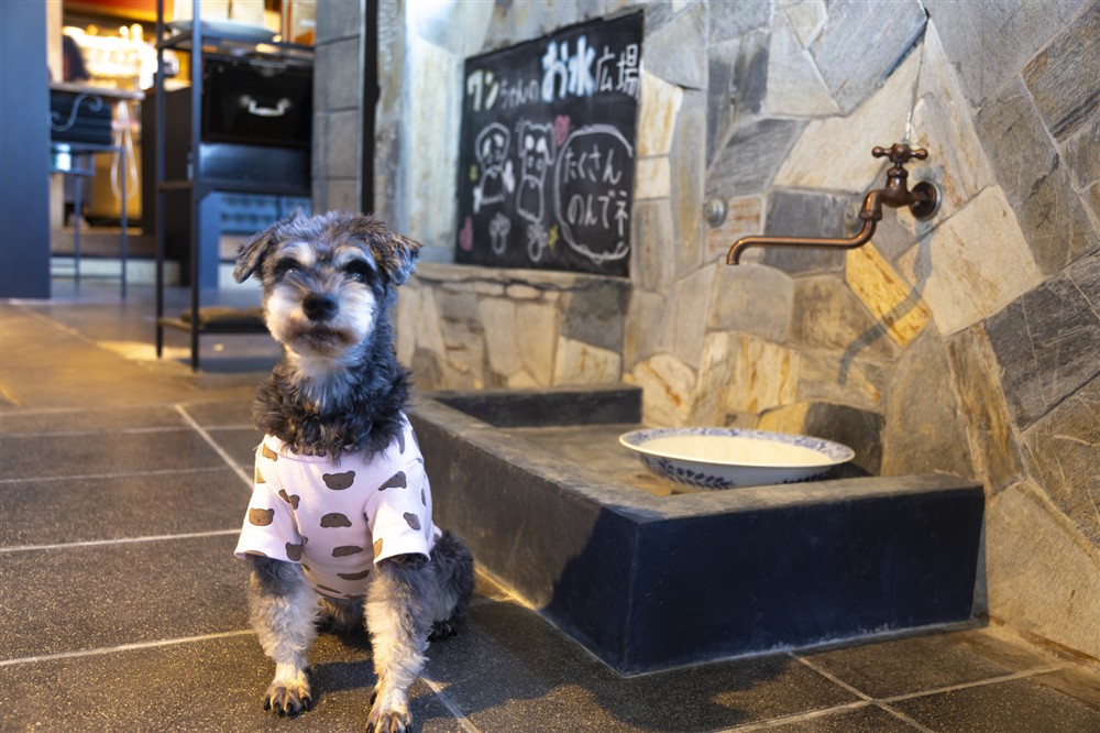 80ESPRESSO WAKAURABASE（ハル・エスプレッソ・ワカウラベース）のわんちゃん同伴