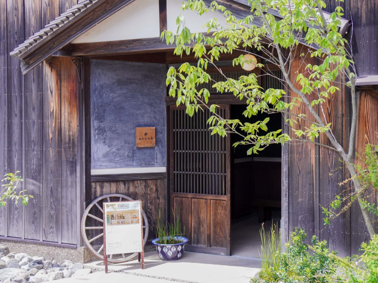 Cafe みかんの木