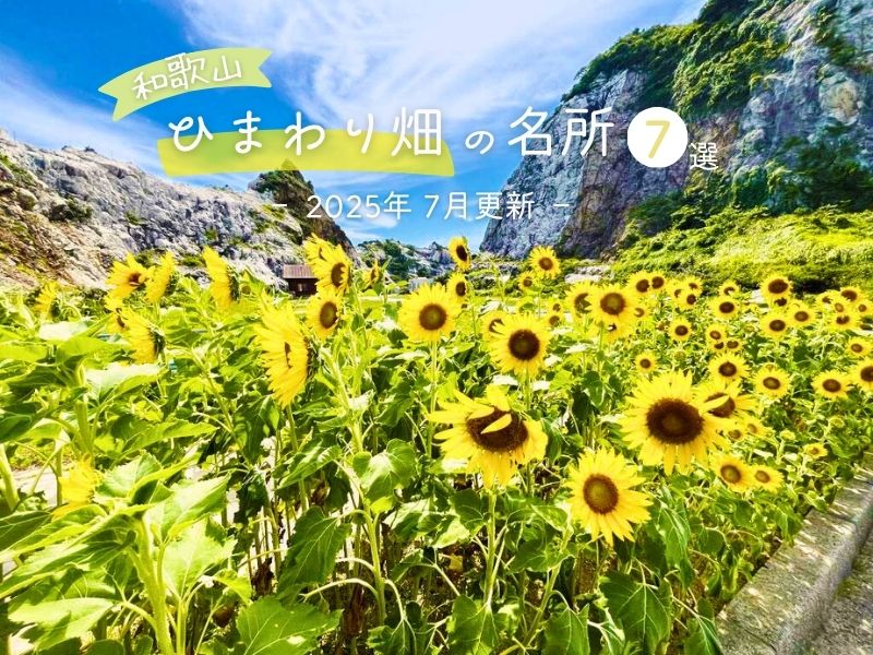 【2025年7月更新】和歌山ひまわり畑の名所7選