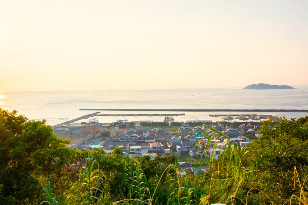 有田みかん海道