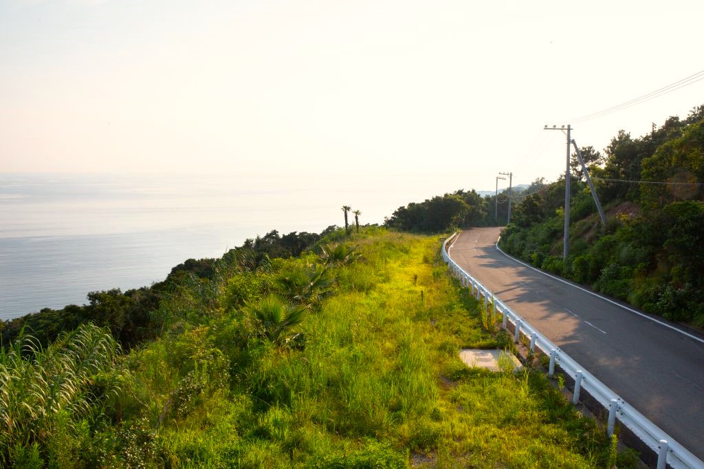 有田みかん海道