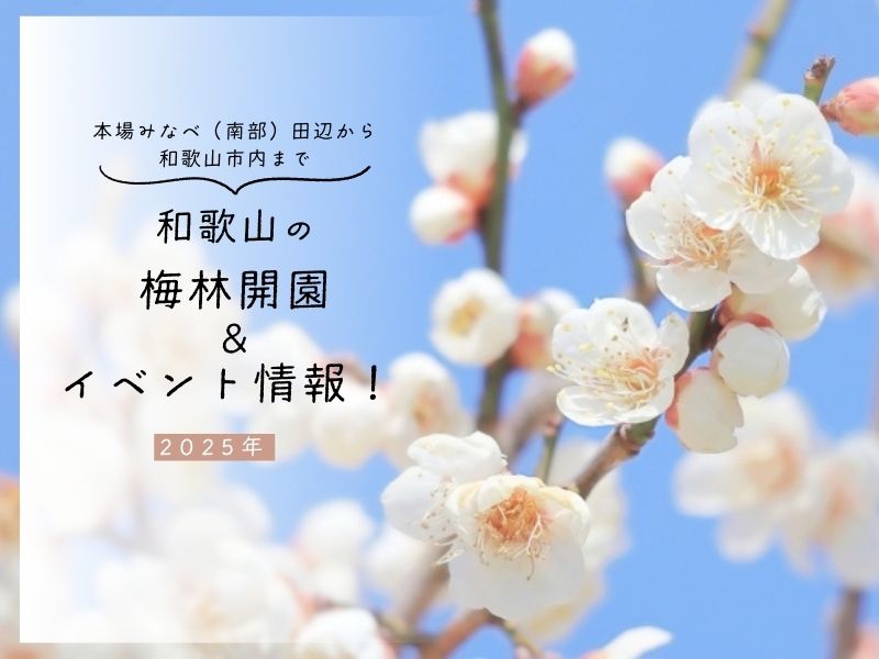 和歌山の梅林開園・イベント情報！ 本場みなべ（南部）田辺から和歌山市内まで【2025年】