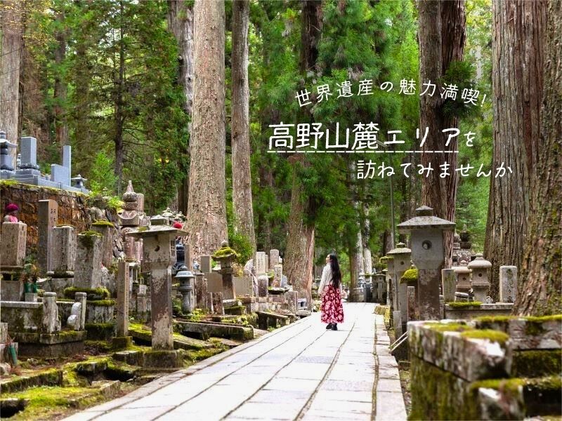 世界遺産の魅力満喫!「高野山麓エリア」を訪ねてみませんか【和歌山県】