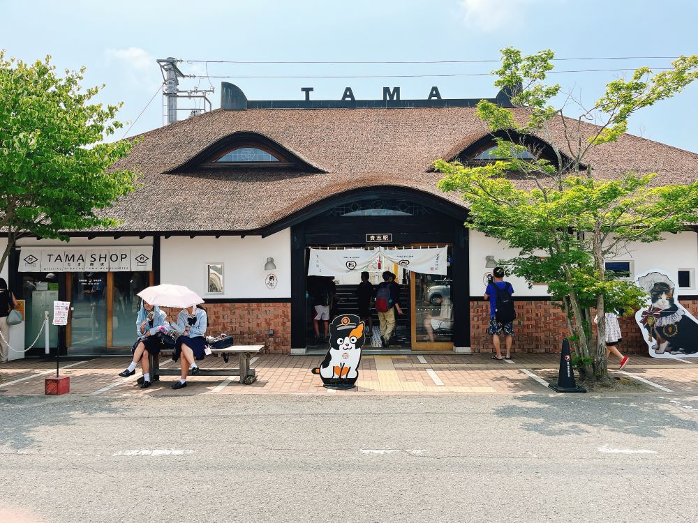 たまカフェ