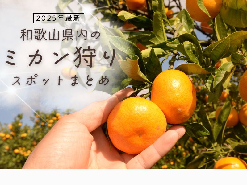 みがん狩りスポット