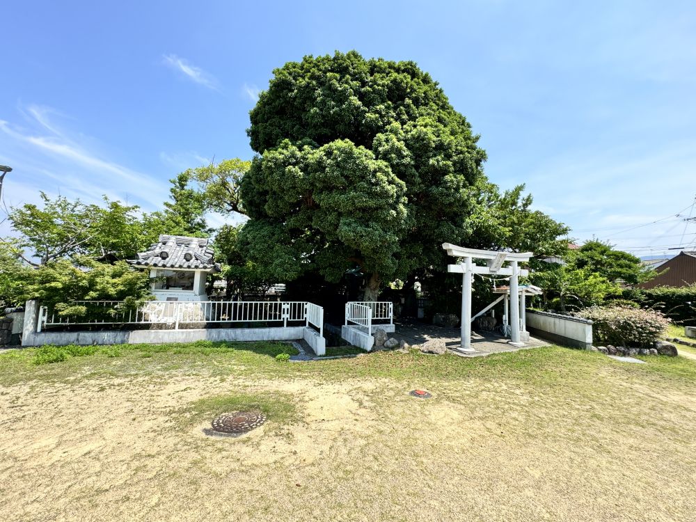 田辺城