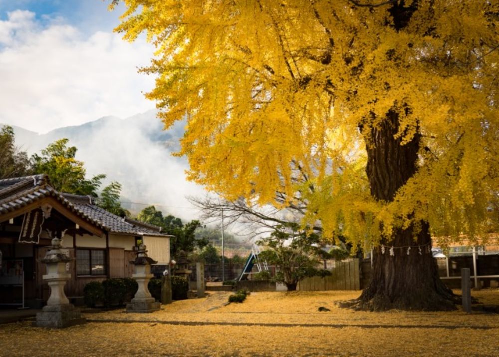 丹生酒殿神社