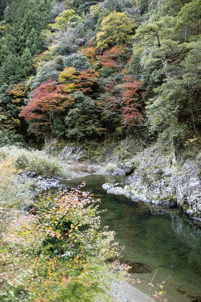 玉川峡