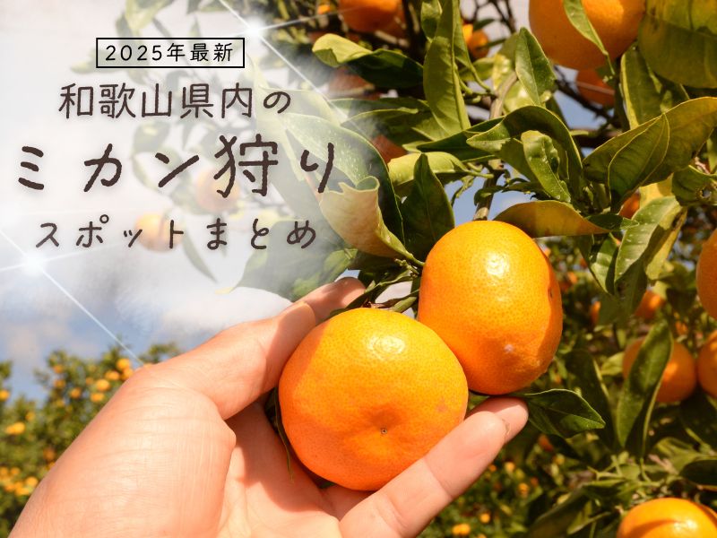 ミカン狩りスポットまとめ