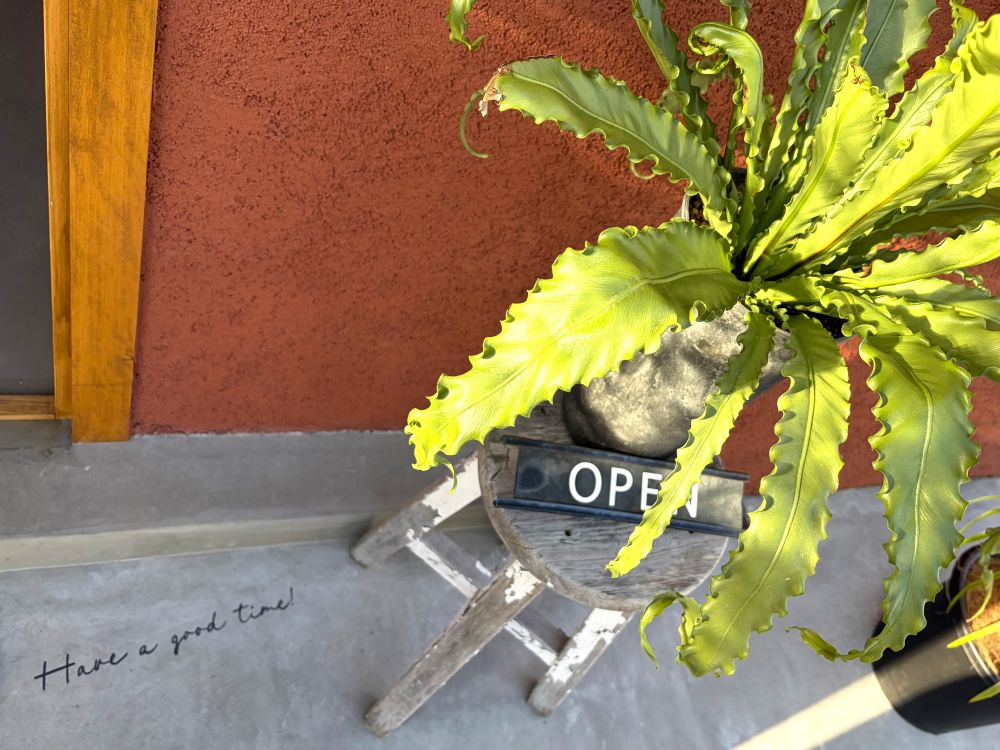 セレクト・バイ・タネ