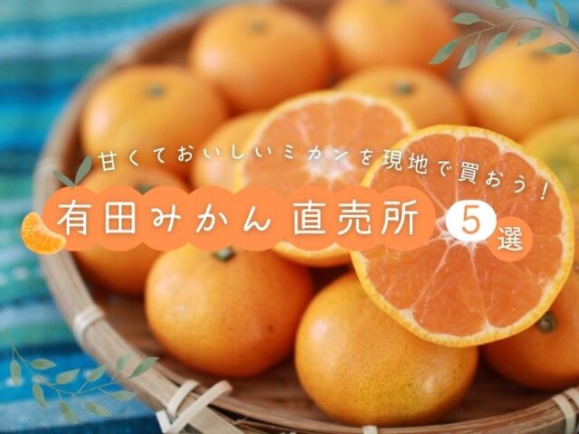 【和歌山】有田みかん直売所5選♪ 甘くておいしいミカンを現地で買おう