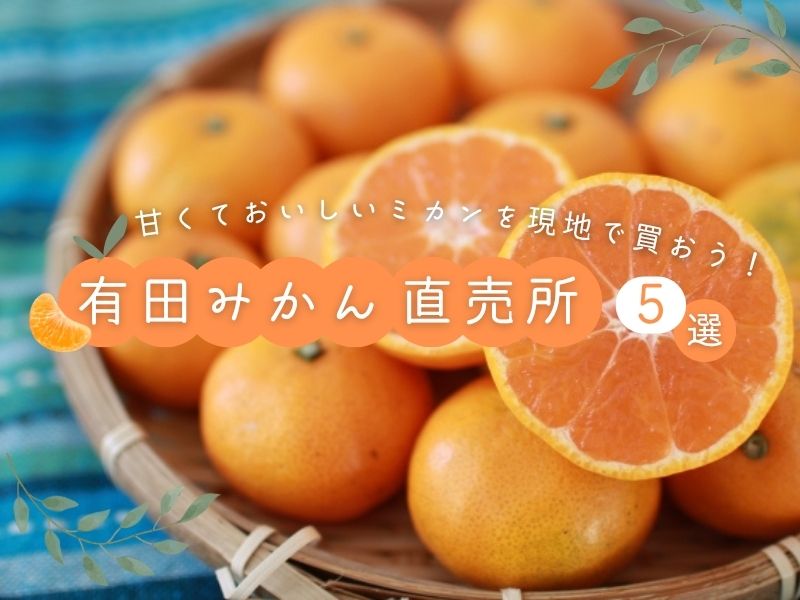 【和歌山】有田みかん直売所5選♪ 甘くておいしいミカンを現地で買おう