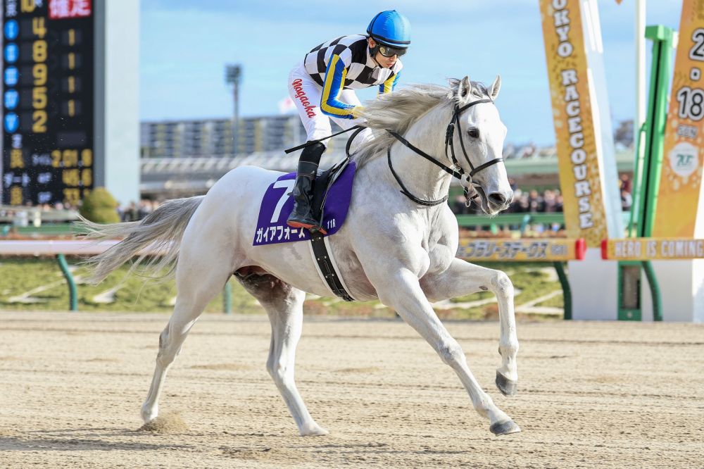 ガイアフォース