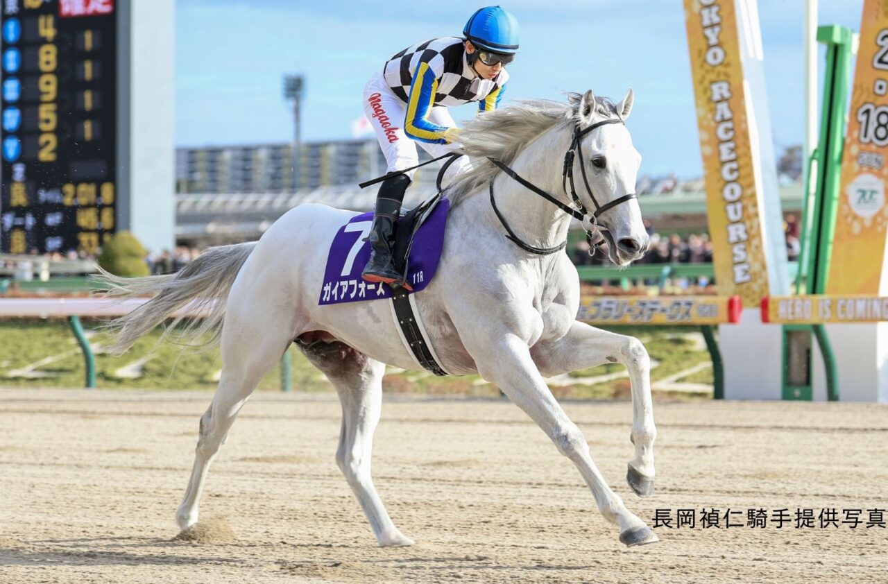 長岡禎仁ガイアフォース
