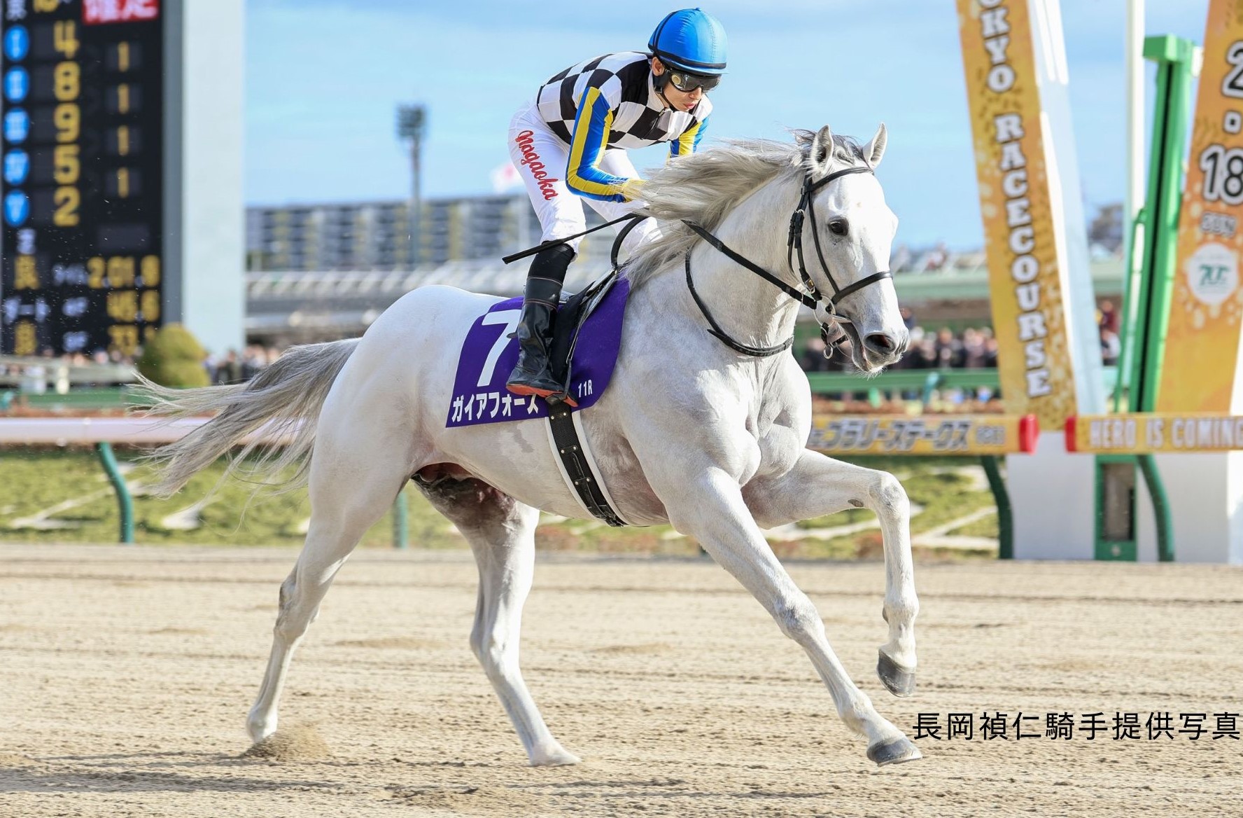 長岡禎仁ガイアフォース