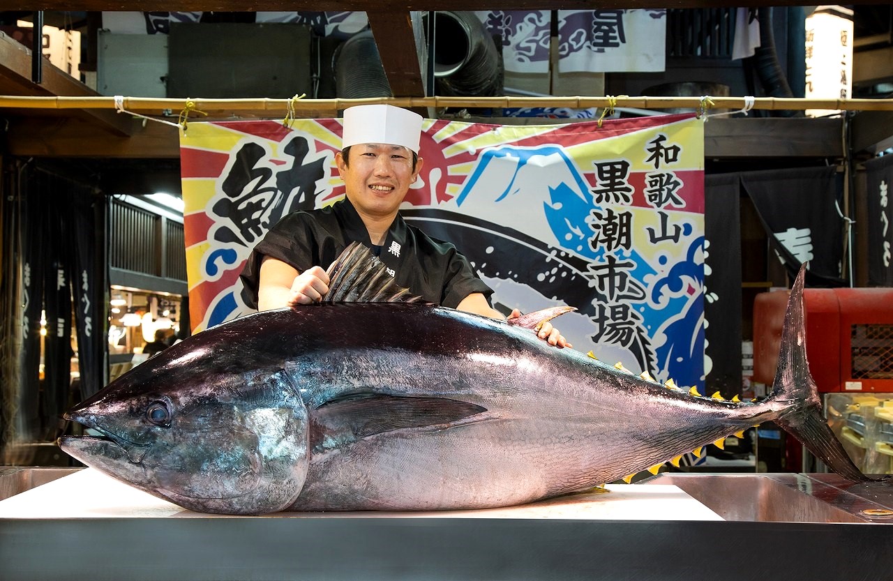 黒潮市場　マグロ解体