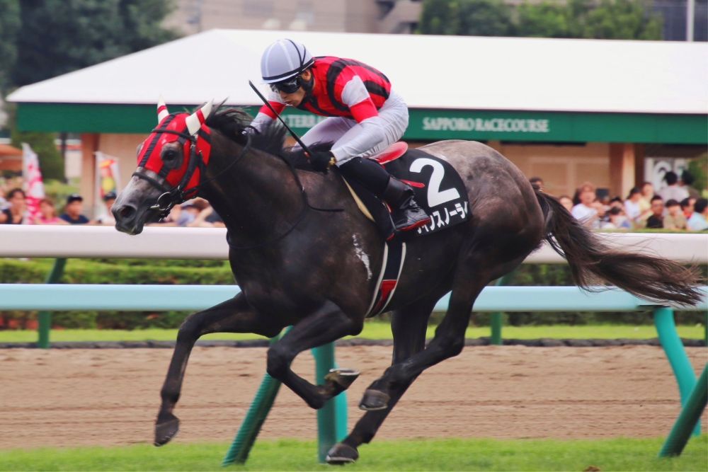 ウインスノーライト
