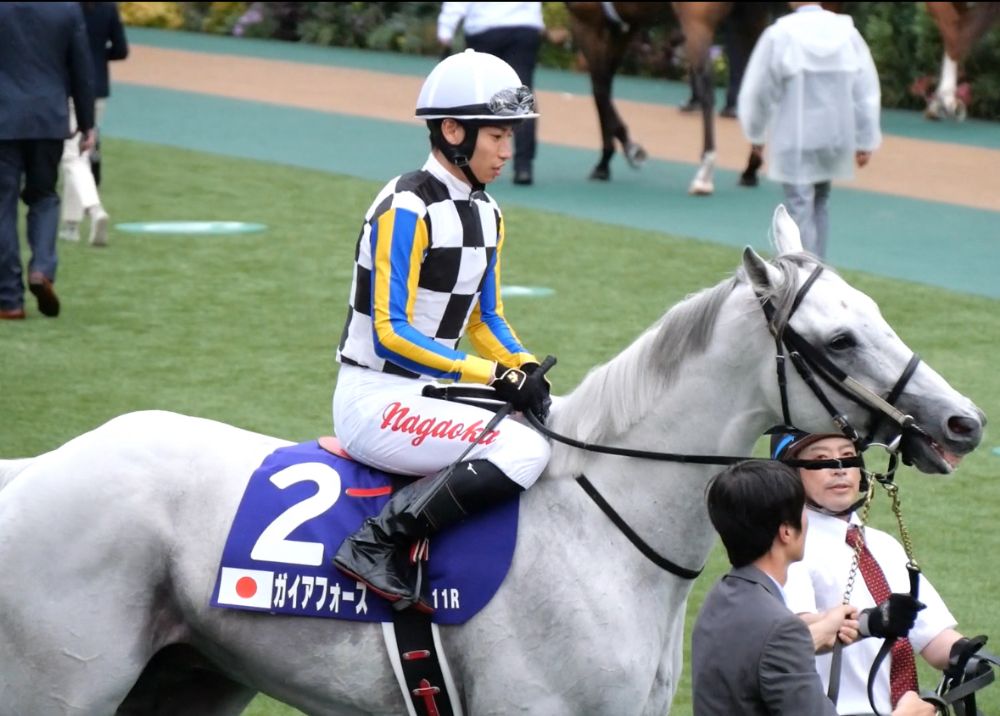 ガイアフォース
