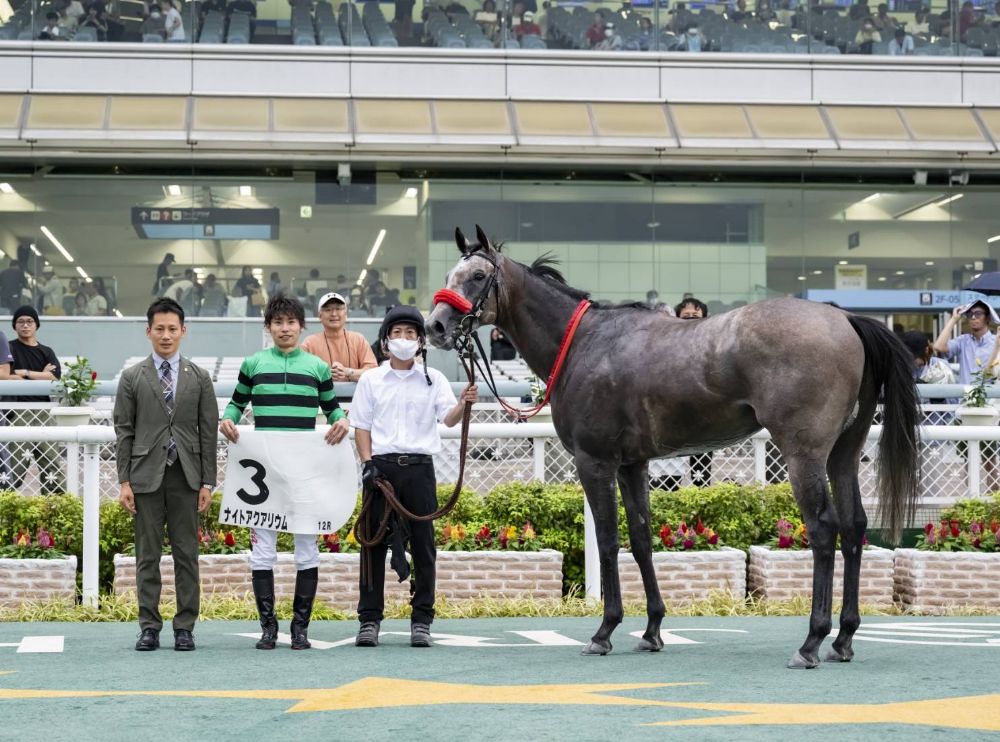 ナイトアクアリウム