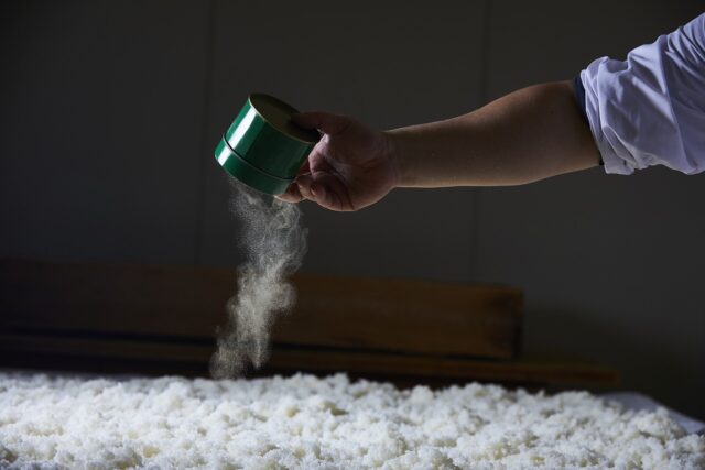 九重雜賀（ここのえさいか） (